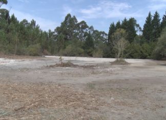 A Demarcación de Costas e o concello de Outes rexeneran a zona de Espiñeiro