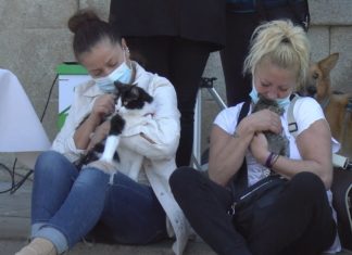 Cambados lanza unha campaña para concienciar sobre a acollida responsable das mascotas do refuxio Cambados lanza unha campaña para concienciar sobre a acollida responsable das mascotas do refuxio