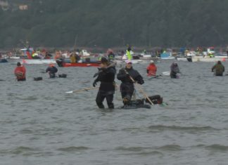 Galicia e Chile, unidas polo marisqueo a pé