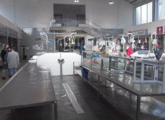 Os praceiros de Vilagarcía reclaman unha renovación do mercado para facelo máis atractivo