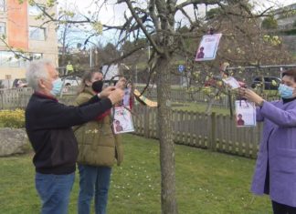 Poemas nas árbores e actividades para a rapazada para homenaxear a Rosalía en Poio
