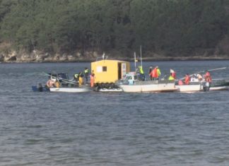 Boas impresións na reapertura da campaña marisqueira de Noia
