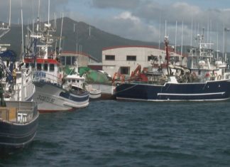 Medio cento de barcos de ACERGA suspenden a costeira da ancho ante a suba do gasóleo