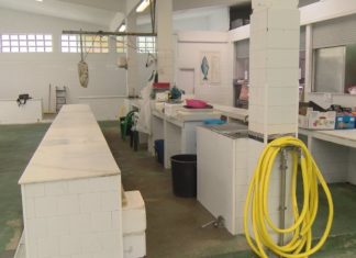 Ilusión e incerteza entre as praceiras de Vilaxoán polo novo proxecto de reforma da Praza de Abastos Ilusión e incerteza entre as praceiras de Vilaxoán polo novo proxecto de reforma da Praza de Abastos