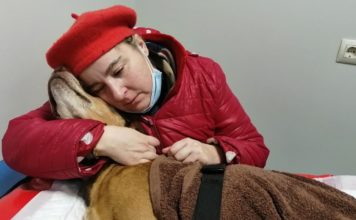 A Garda Civil investiga o ataque a un can en Barro que tivo que acabar sendo sacrificado
