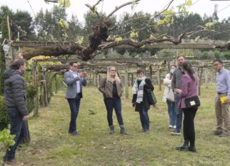 Cinco expertos de EEUU e Canada visitan as adegas da D.O. Rías Baixas para coñecer os seus viños Cinco expertos de EEUU e Canada visitan as adegas da D.O. Rías Baixas para coñecer os seus viños