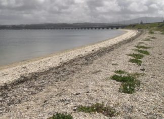 Preocupación na ría de Arousa por unha vertedura contaminante ao mar