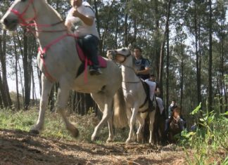 A ruta cabalar de San Marcos estrea a primeira credencial equina