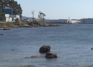 Valentín Formoso propón ás depuradoras de Cambados que soliciten un informe ao ministerio de transición ecolóxica para garantir a súa continuidade en Tragove