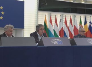 Pontevedra exerce como modelo de mobilidade e peonalización no Parlamento Europeo