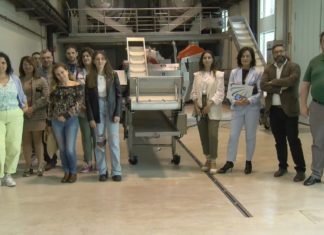 Formación en viticultura, a esencia do Salnés como saída laboral