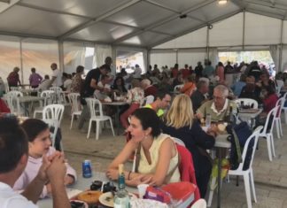 Porto do son repartiu mil quilos de polbo