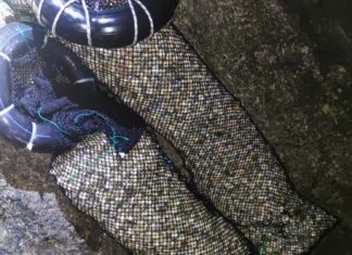 Os furtivos rouban 300 quilos de berberecho na lonxa de Esteiro