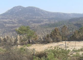 Medio Rural dá por estabilizado o incendio da Barbanza