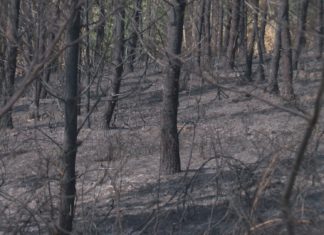 A orixe do incendio de Barbanza podería ser unha cheminea dunha vivenda
