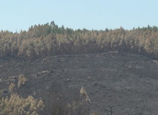 Técnicos do concello de Pontevedra avaliarán os danos do lume no parque forestal da Fracha