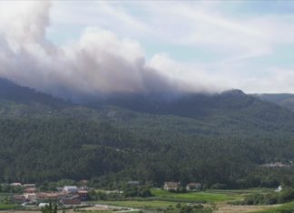 Medio Rural alerta da intencionalidade que hai trala maioría dos lumes e pide precaución á cidadanía