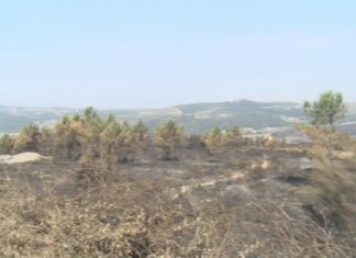 Detido o presunto autor de dous incendios na Pobra