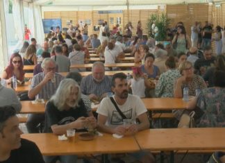 A toxina non pode coa Festa da Ameixa de Campelo