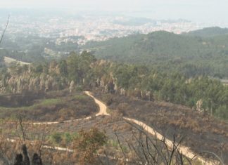 O incendio de Xiabre foi intencionado e só en Saiar calculan en 350 mil euros a replantación da súa parte do monte O incendio de Xiabre foi intencionado e Saiar calculan en 350 mil euros a replantación do seu monte