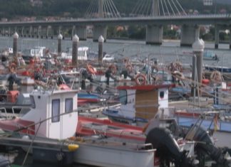 A toxina obriga a aprazar a apertura da campaña marisqueira en Noia