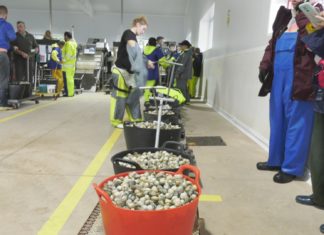 O mal tempo condiciona o agardado arranque da campaña marisqueira en Noia