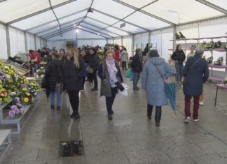 Boas vendas no mercado das flores de Vilagarcía a pesar das choivas e do incremento dos prezos Boas vendas no mercado das flores de Vilagarcía a pesar das choivas e do incremento dos prezos