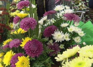 22 postos formarán parte do mercado das flores de Cambados que de novo se celebrará en Fefiñáns 22 postos formarán parte do mercado das flores de Cambados que de novo se celebrará en Fefiñáns