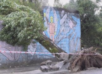O Salnés sufre as consecuencias do temporal Beatrice con árbores, posteis da luz e farois derrubados O Salnés sufre as consecuencias do temporal Beatrice con árbores, posteis da luz e farois derrubados