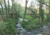 Outes recuperará o cauce do Río Tines grazas a colaboración da Fundación Biodiversidade