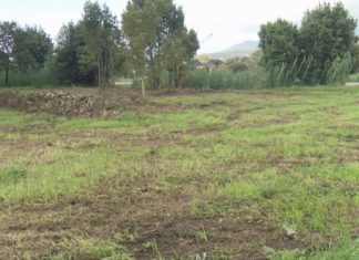 Boiro contará cun parque canino a partir deste Nadal