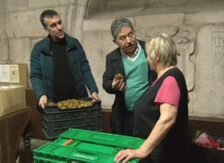 Os kiwis de Santa Clara, para o comedor de San Francisco de Pontevedra