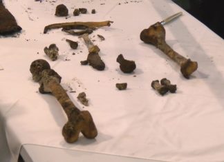 Atopan restos óseos na exhumación do sarcófago de Xohán Marino en Vilaxoán na busca da orixe de Cristovo Colón Atopan restos óseos na exhumación do sarcófago de Xohán Marino en Vilaxoán na busca da orixe de Cristovo Colón