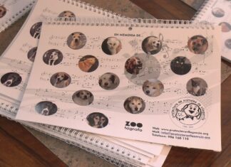 O calendario da protectora de animáis de Vilagarcía conta este ano con músicos e asociacións da vila O calendario da protectora de animáis de Vilagarcía conta este ano con músicos e asociacións da vila