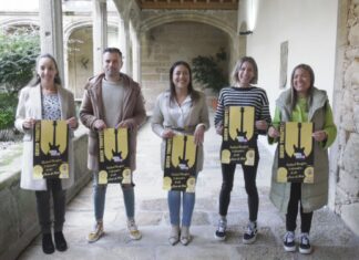 Noia celebra este domingo un festival benéfico en favor de ASGOPH e FundAme