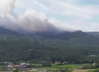 A debate o futuro do rural no foro sobre incendios promovido pola Deputación da Coruña