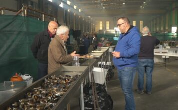Extrugasa reúne a centos de persoas no seu tradicional xantar de Nadal