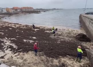 Unha vertedura de chapapote afecta a máis de 500 metros de costa da Illa de Arousa Unha vertedura de chapapote afecta a máis de 500 metros de costa da Illa de Arousa