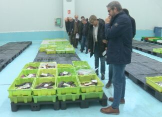 A Comisión de Pesca do PPdeG analiza en Ribeira os retos de futuro do sector