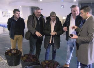 A lonxa de Portonovo aforrará un 50% electrecidade grazas á instalación de 180 placas solares A lonxa de Portonovo aforrará un 50% electrecidade grazas á instalación de 180 placas solares