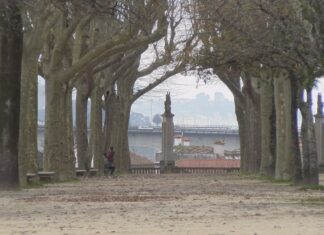 Pontevedra valora a Alameda para acoller a feira tras descartar Arcebispo Malvar por falta de espazo