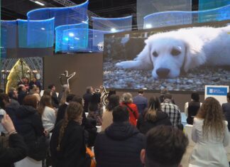 O Salnés posiciónase como destino ‘petfriendly’ en Fitur