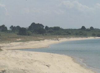 A Pobra organiza unha acción de voluntariado ambiental na praia da Corna