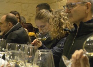 O informe Acevin sitúa á ruta do viño Rías Baixas como a máis desexada para visitar de toda España O informe Acevin sitúa á ruta do viño Rías Baixas como a máis desexada para visitar de toda España
