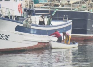 Abre o prazo para acollerse ó paro voluntario polo peche do xurelo