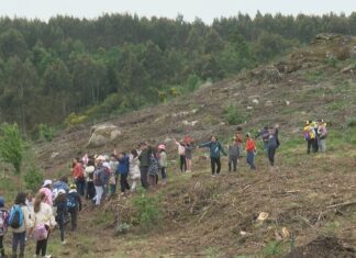 Trescentos alumnos plantan un ‘Bosque da Esperanza’ no monte da Fracha