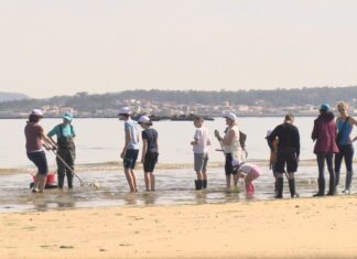 Turistas da Pobra convértense en mariscadores por un día