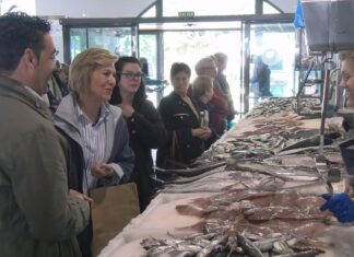 Ana Granja presenta un programa electoral baseado na proximidade e atención á veciñanza de Vilagarcía Ana Granja presenta un programa electoral baseado na proximidade e atención á veciñanza de Vilagarcía