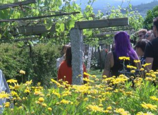 Novo éxito de celebración da primavera de portas abertas da Ruta do Viño Rías Baixas Novo éxito de celebración da primavera de portas abertas da Ruta do Viño Rías Baixas