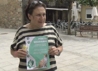 Moura organiza un mercado benéfico para axudar a saldar a débeda veterinaria da protectora